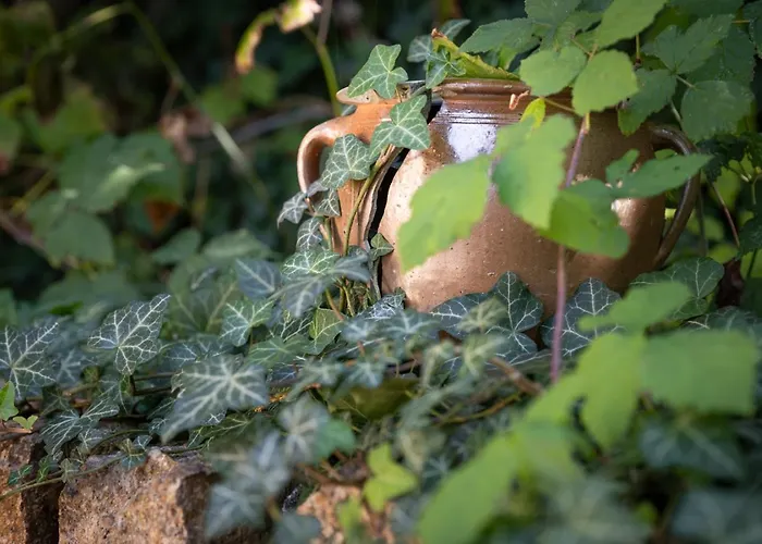 Haus Burgblick Doeben Гримма
